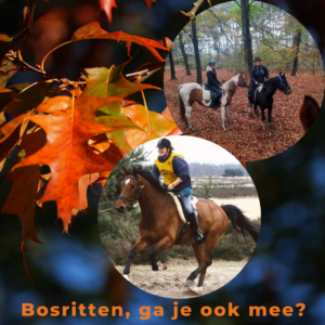 Mijn Eerste Paardencursus